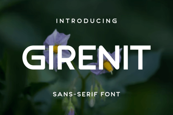 Girenit: A Unique Sans Serif Font for Modern Editorial Design