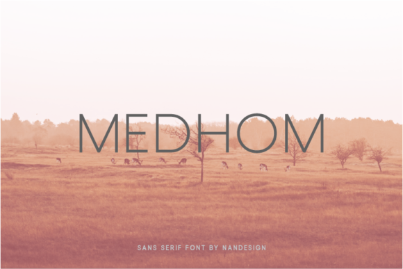 Medhom: A Modern Sans Serif Font for Sharp Branding