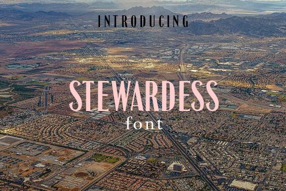 Stewardess: A Modern Sans Serif Font for Editorial Design